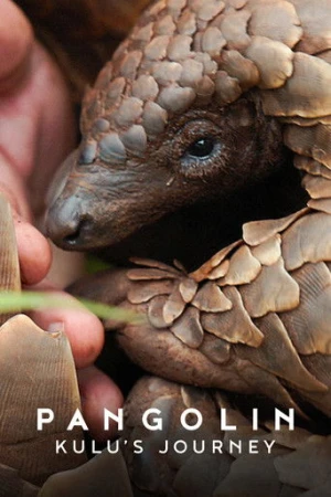 Pangolin: Kulu'nun Yolculuğu (2025) izle