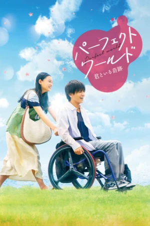 Perfect World (2018) izle