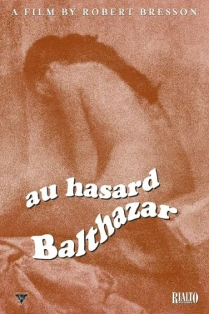 Rastgele Balthazar (1966) izle