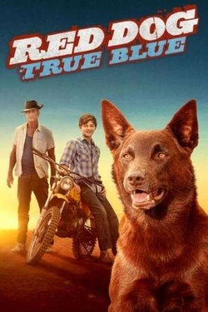 Red Dog: True Blue (2016) izle