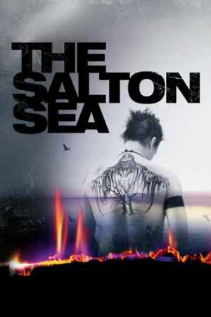 Salton Denizi (2002) izle