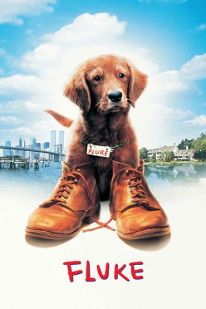 Şanslı (1995) izle