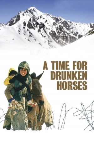 Sarhoş Atlar Zamanı (2000) izle
