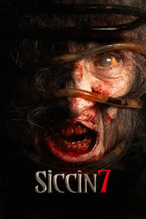 Siccin