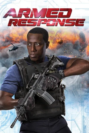 Silahlı Cevap (2017) izle