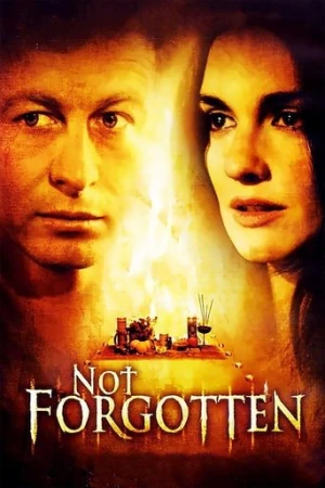 Sır Perdesi (2009) izle