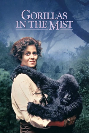Sisteki Goriller (1988) izle