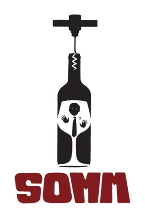 Somm (2013) izle