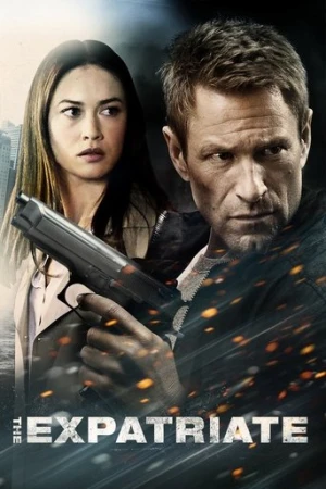 Son Tanık (2012) izle