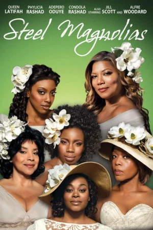 Steel Magnolias (2012) izle