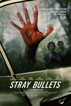Stray Bullets (2017) izle