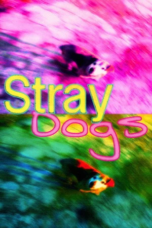 Stray Dogs (2014) izle