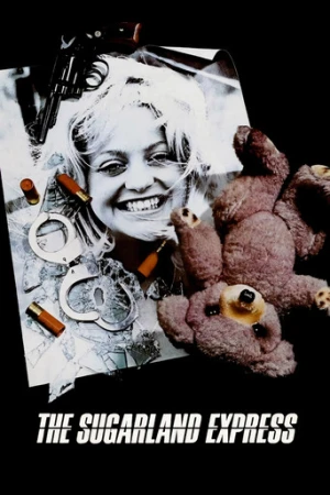 Sugarland Ekspresi (1974) izle
