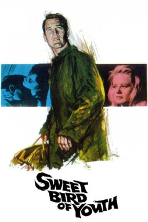Sweet Bird of Youth (1962) izle