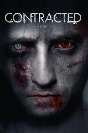 Taahhütlü: Faz II (2015) izle