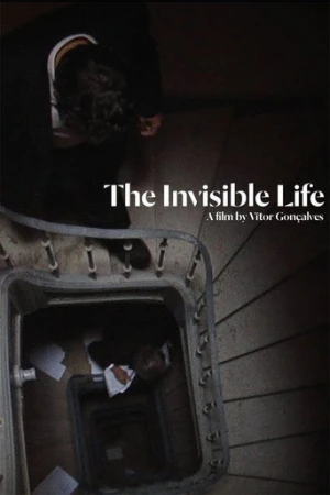 The Invisible Life (2013) izle