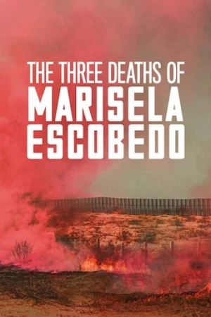 The Three Deaths of Marisela Escobedo (2020) izle