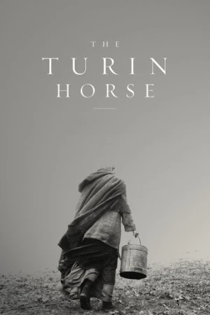 Torino Atı (2011) izle