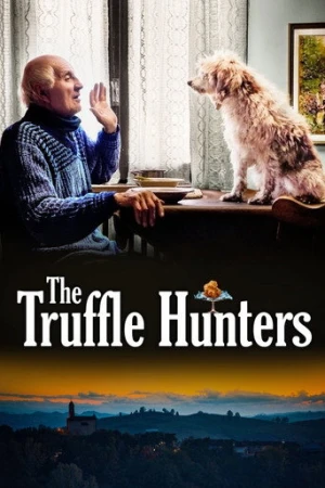 Trüf Avcıları (2020) izle