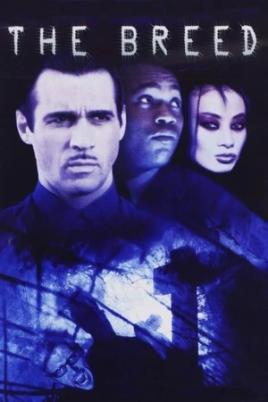 Vampirlerin Dünyası (2001) izle