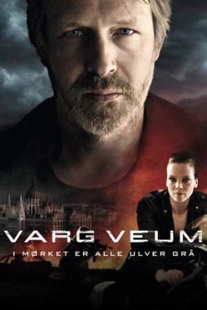 Varg Veum - Gece Tüm Kurtlar Gridir (2011) izle