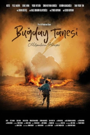 Buğday Tanesi afiş