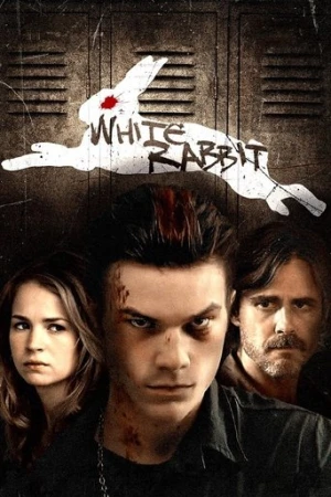 White Rabbit (2013) izle