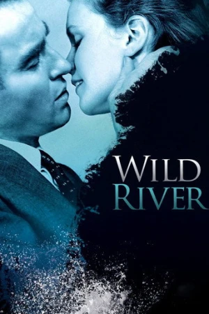 Wild River (1960) izle