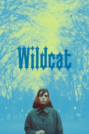Wildcat (2024) izle
