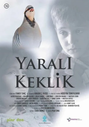 Yaralı Keklik (2019) izle