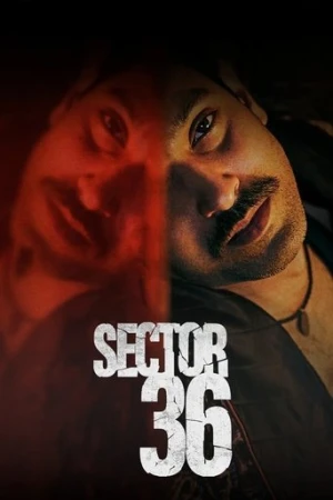 Yeni Delhi Cinayetleri (2024) izle