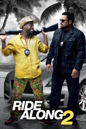 Zor Biraderler 2 (2016) izle